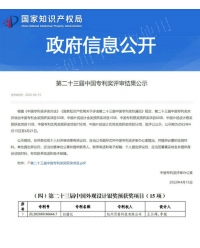 中國(guó)專(zhuān)利獎(jiǎng)